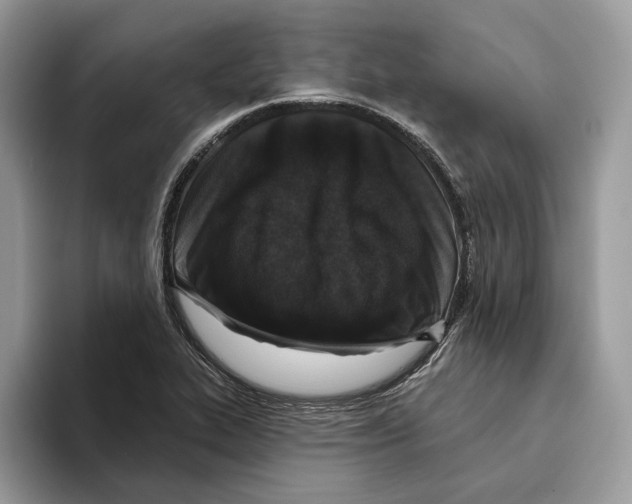 X0000093481319200711091619