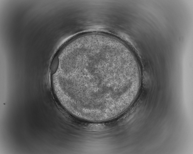 X0000093481320200711091619