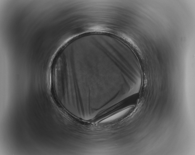 X0000093481323200711091619