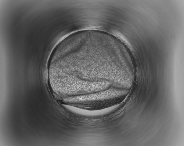 X0000093481324200711091619