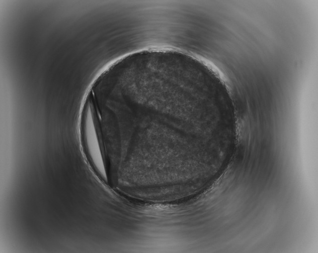 X0000093481327200711091619