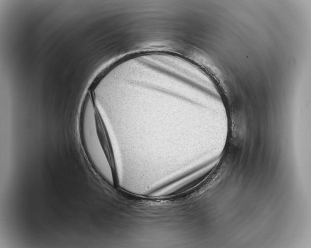 X0000093481328200711091619