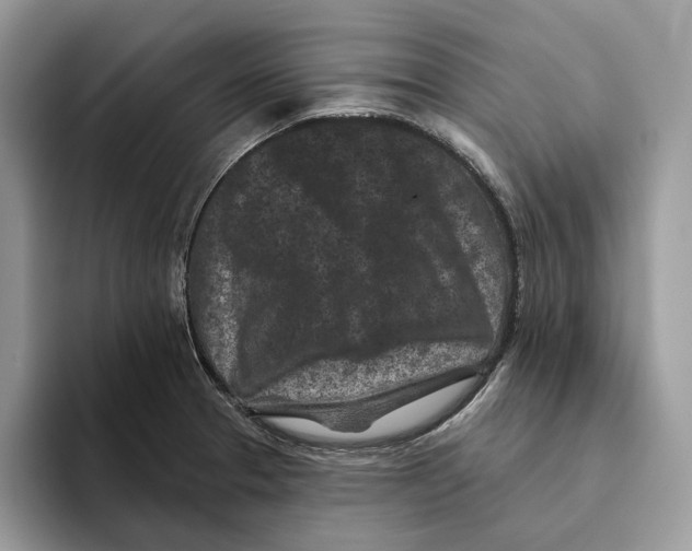 X0000093481329200711091619