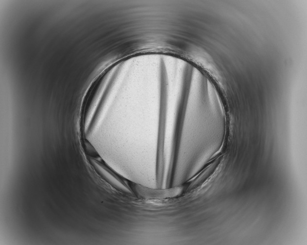 X0000093481330200711091619