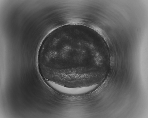 X0000093481331200711091619