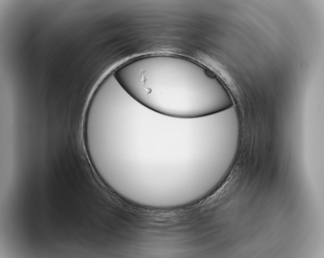 X0000093481332200711091619