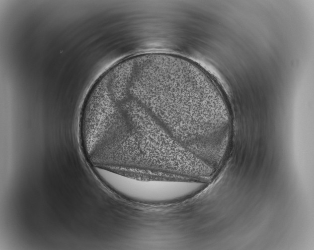 X0000093481333200711091619