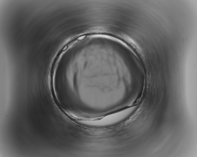 X0000093481334200711091619