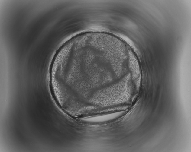 X0000093481335200711091619