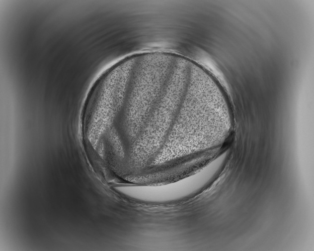 X0000093481336200711091619