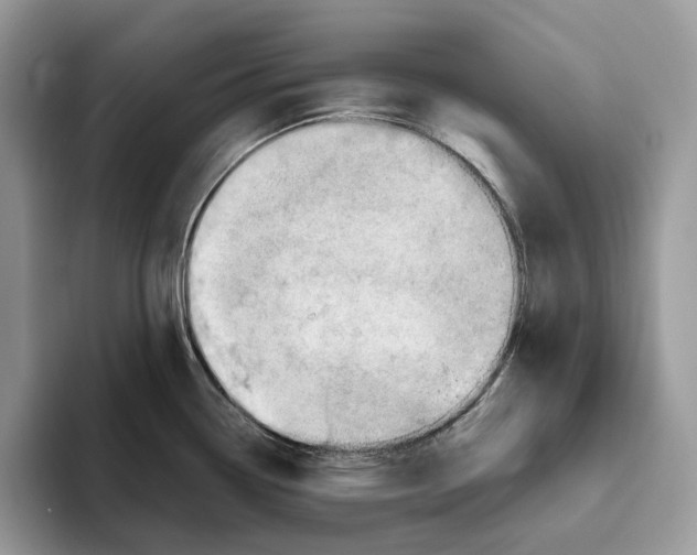 X0000093481338200711091619