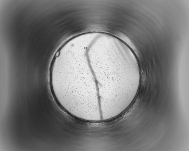 X0000093481339200711091619