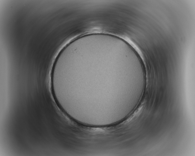 X0000093481341200711091619