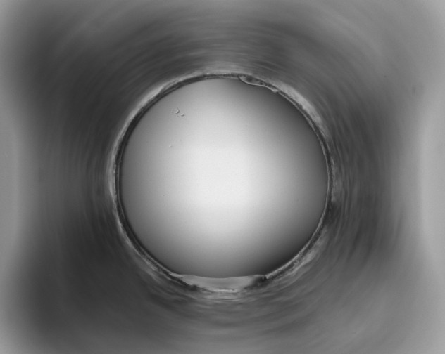 X0000093481342200711091619