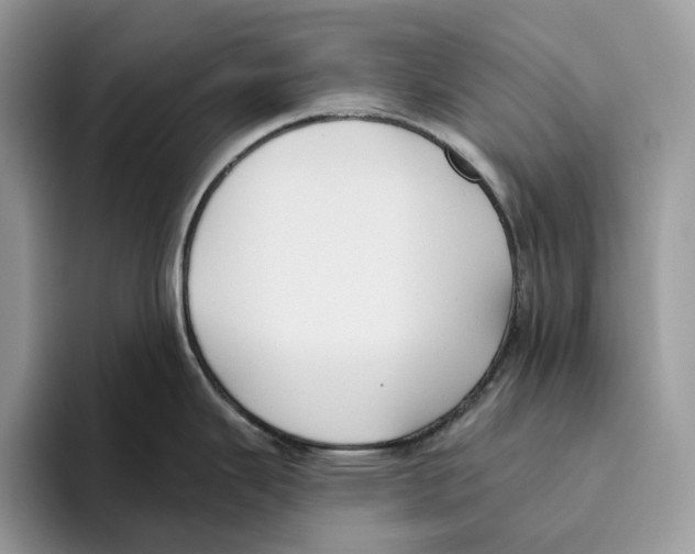 X0000093481343200711091619