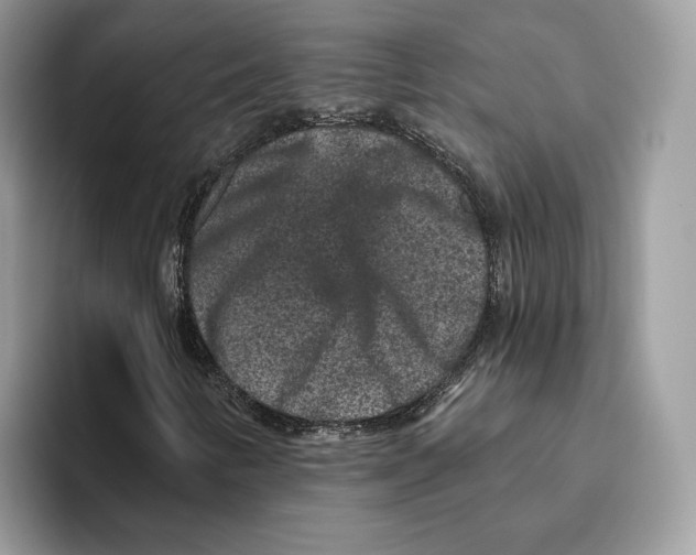 X0000093481346200711091619