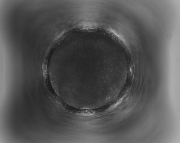 X0000093481348200711091619