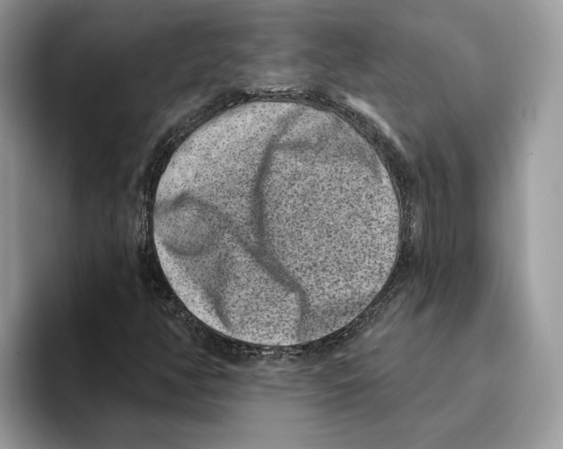 X0000093481350200711091619