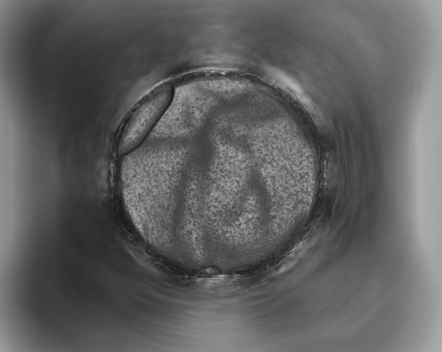 X0000093481352200711091619