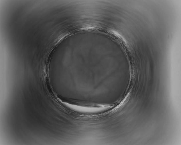 X0000093481353200711091619