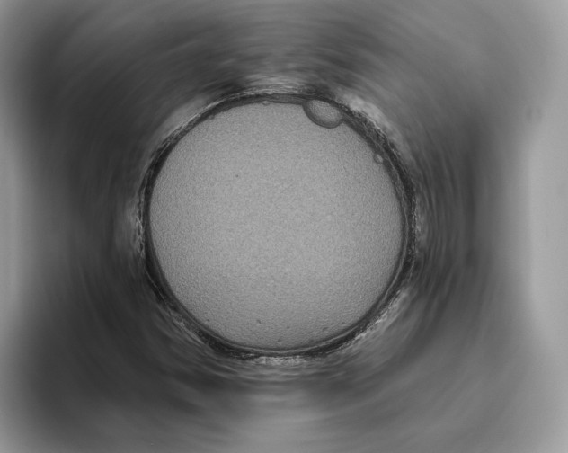 X0000093481354200711091619