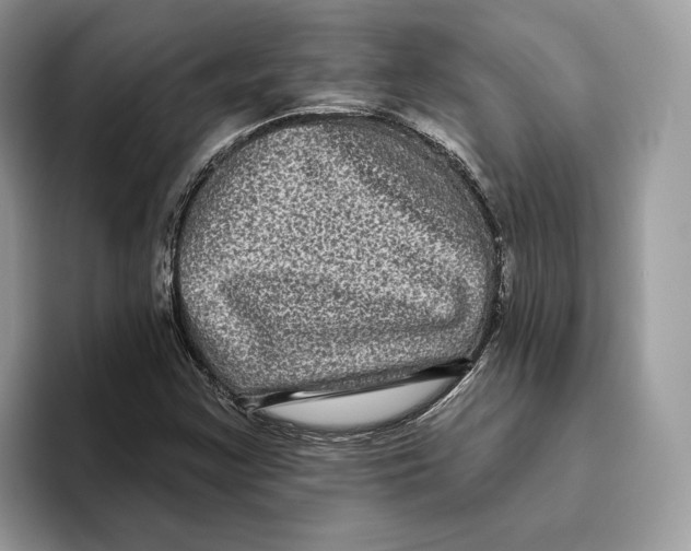 X0000093481355200711091619