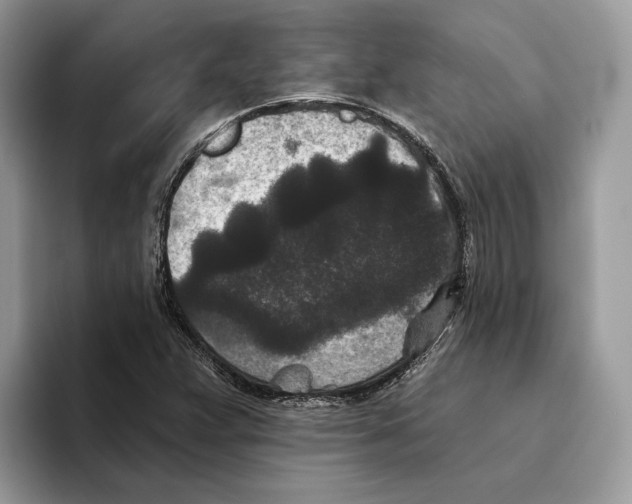 X0000093481359200711091619