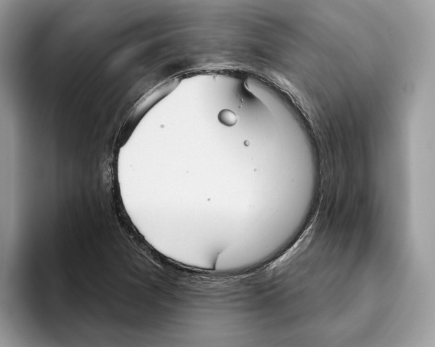 X0000093481361200711091619