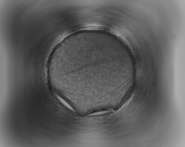 X0000093481362200711091619