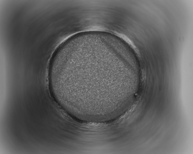 X0000093481364200711091618