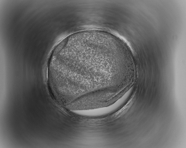 X0000093481365200711091618