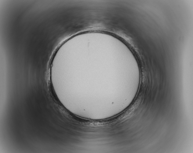 X0000093481366200711091618