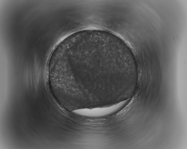 X0000093481367200711091618