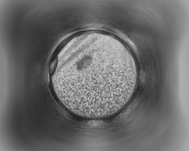 X0000093481368200711091618