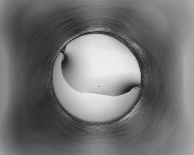 X0000093481369200711091618