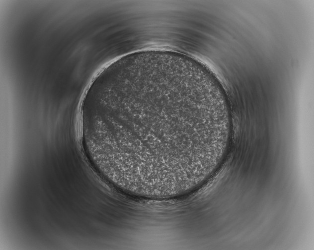 X0000093481371200711091618