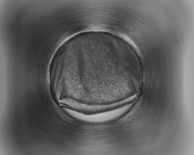 X0000093481372200711091618