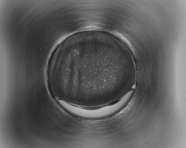 X0000093481373200711091618