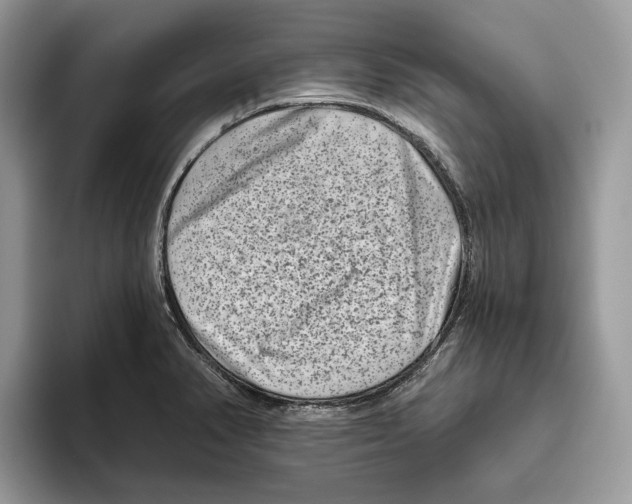 X0000093481374200711091618