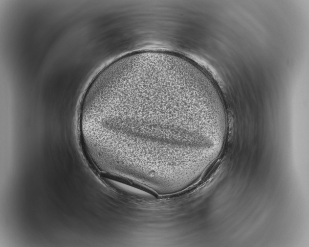 X0000093481375200711091618