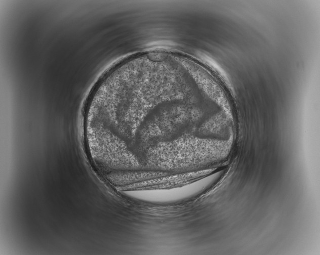 X0000093481376200711091618