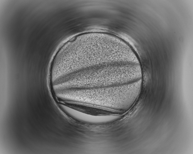 X0000093481379200711091618