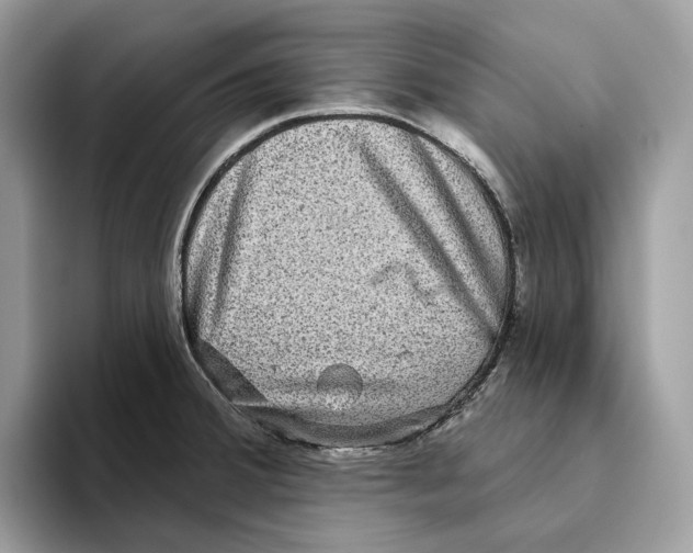 X0000093481380200711091618