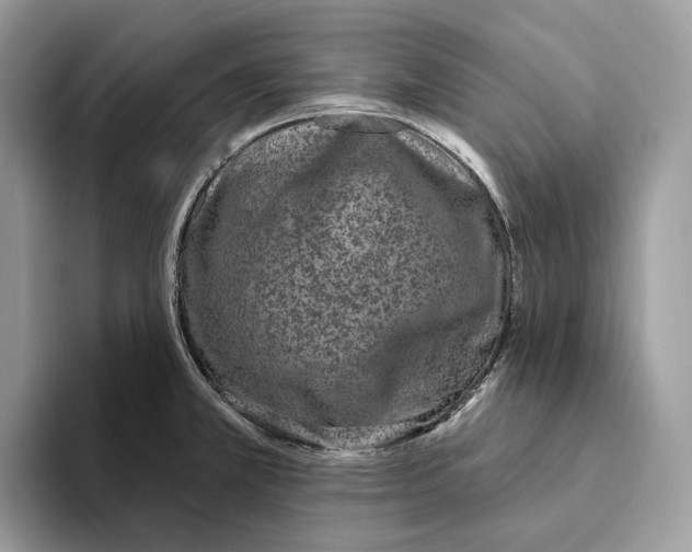 X0000093481381200711091618