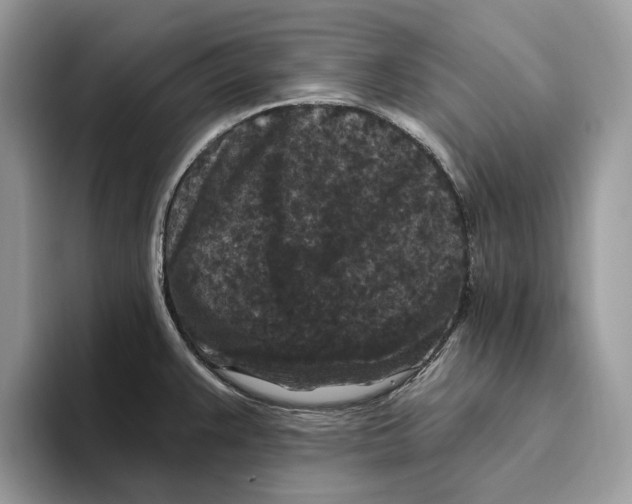 X0000093481383200711091618