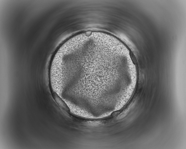 X0000093481384200711091618