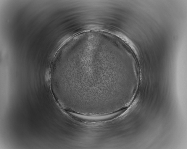 X0000093481385200711091618