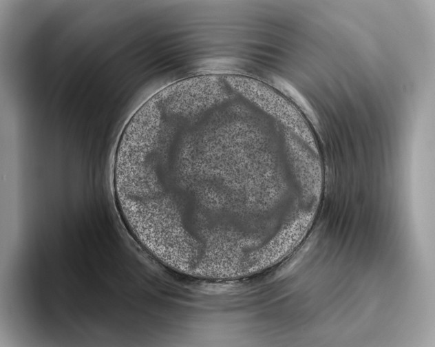 X0000093481386200711091618