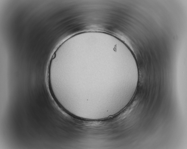 X0000093481387200711091618