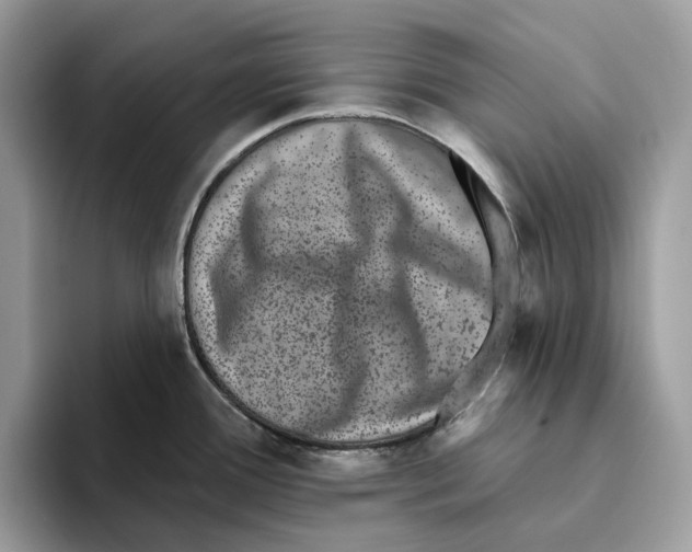 X0000093481388200711091618